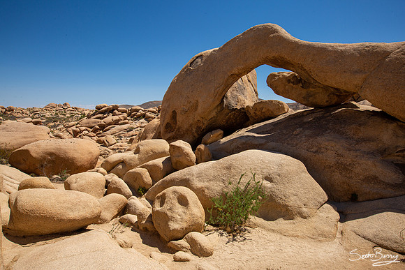 Arch Rock