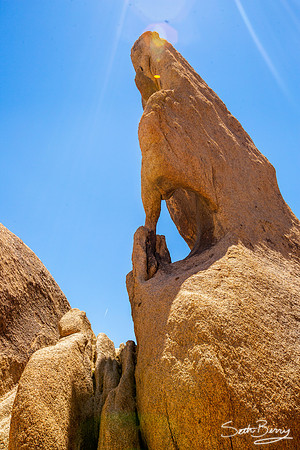 Joshua Tree National Park