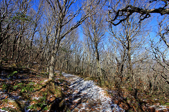 Craggy Gardens Fall Hike