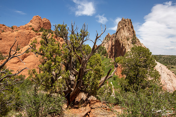 Garden of the Gods
