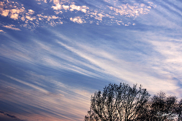 Soft Sky