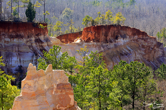 Providence Canyon, Georgia 5