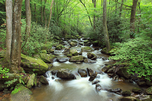 Jones Gap State Park
