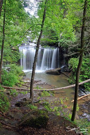 Brasstown Veil