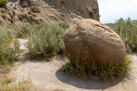 Theodore Roosevelt National Park