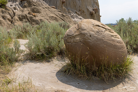 Theodore Roosevelt National Park