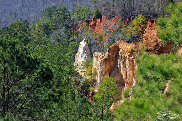 Providence Canyon, Georgia 4