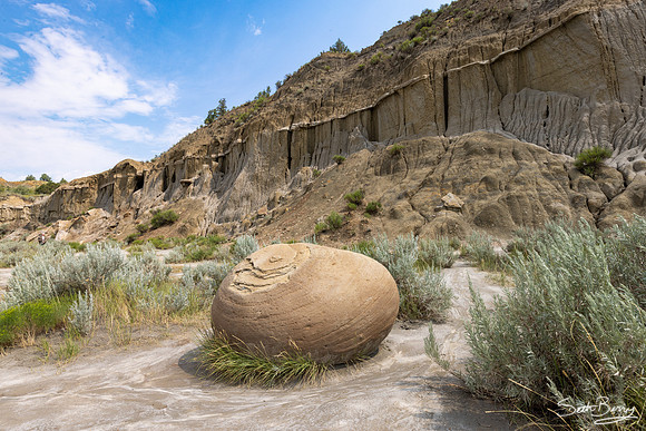 Theodore Roosevelt National Park