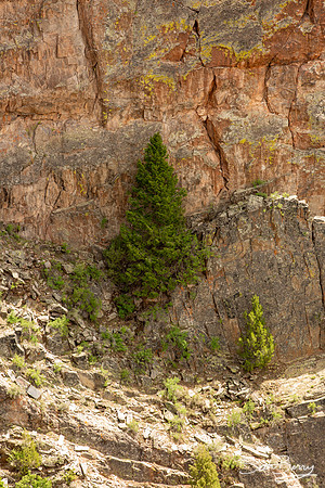 Black Canyon of the Gunnison