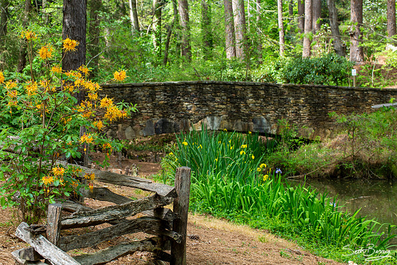 SC Botanical Gardens