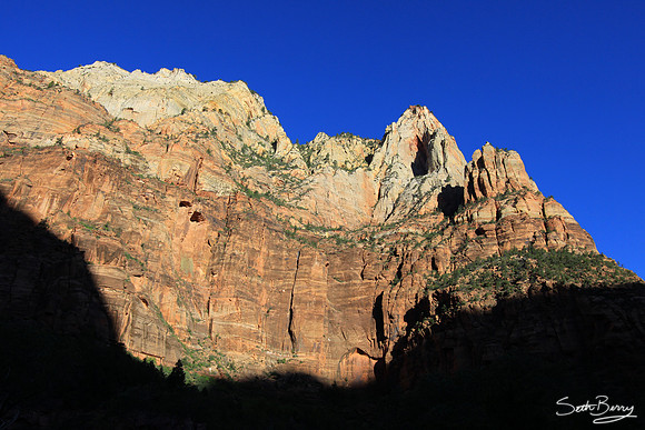 Zion Morning