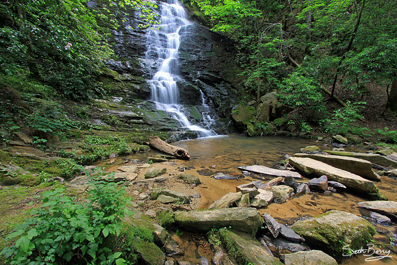 Reedy Branch Falls