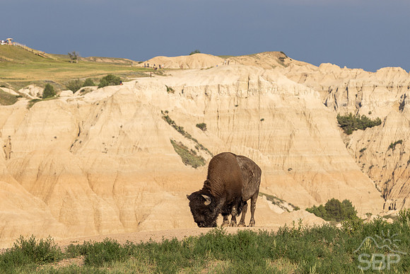 Badlands National Park