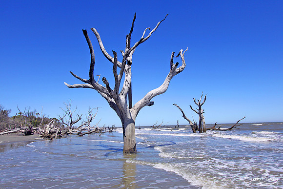 Boneyard Beach