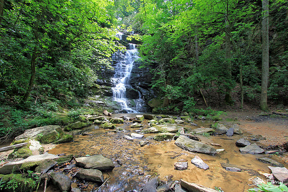 Reedy Branch Falls