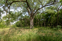Rock Creek Station State Historic Park
