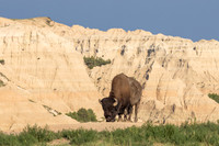 Badlands National Park