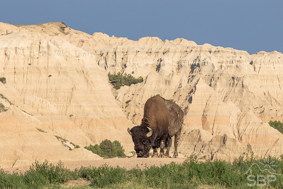 Badlands National Park