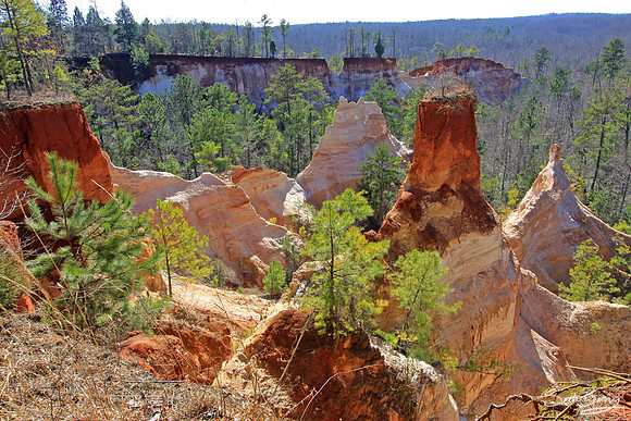 Providence Canyon, Georgia 8
