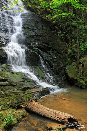 Reedy Branch Falls