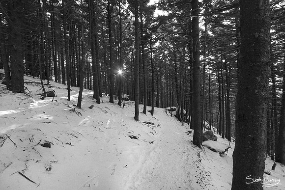The Way (black & white)