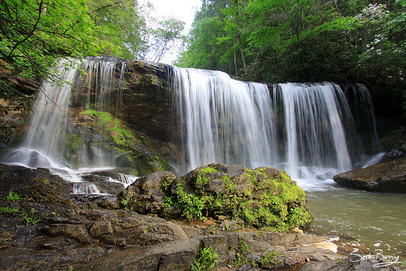 Brasstown Veil