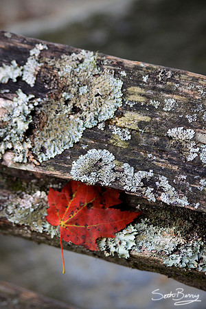 On The Fence