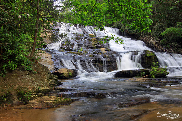 Brasstown Cascades