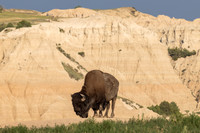 Badlands National Park