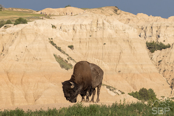 Badlands National Park
