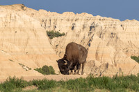 Badlands National Park