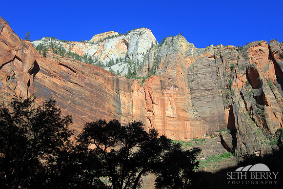 Zion National Park