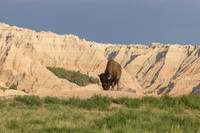 Badlands National Park