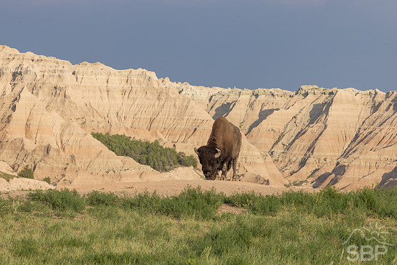 Badlands National Park