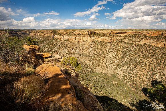 Mesa Verde National Park