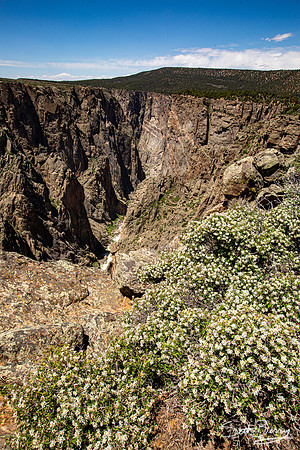 Black Canyon of the Gunnison
