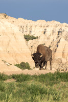 Badlands National Park