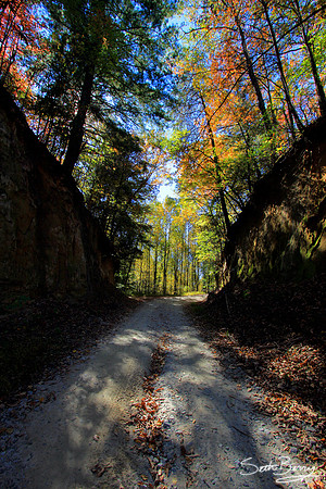 Autumn Alley