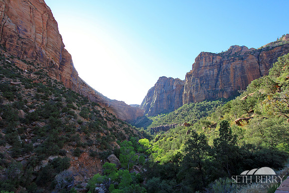 Zion Sunrise