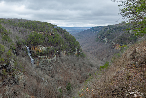 Cloudland Canyon, GA
