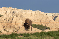 Badlands National Park