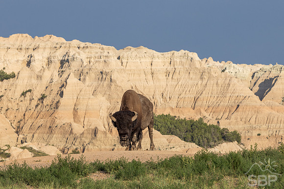 Badlands National Park