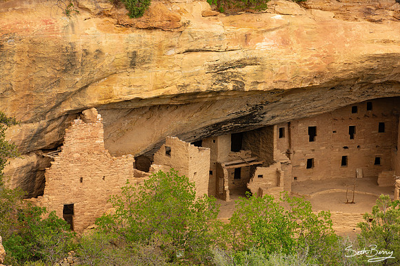 Spruce Tree House