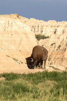 Badlands National Park