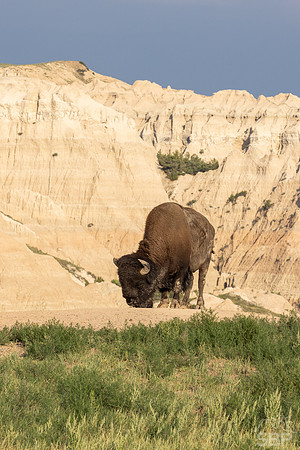 Badlands National Park