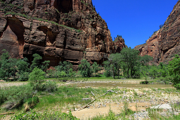 Zion's Virgin River