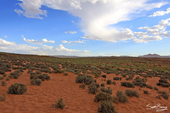 Trail to Horseshoe Bend