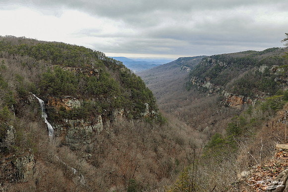 Cloudland Canyon, GA