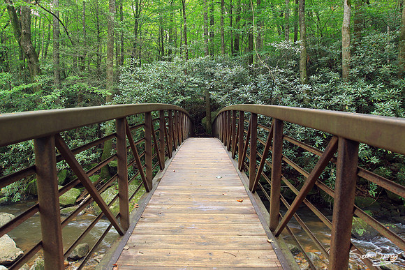 Jones Gap State Park