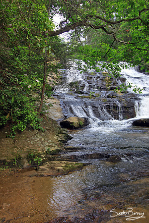 Brasstown Cascades